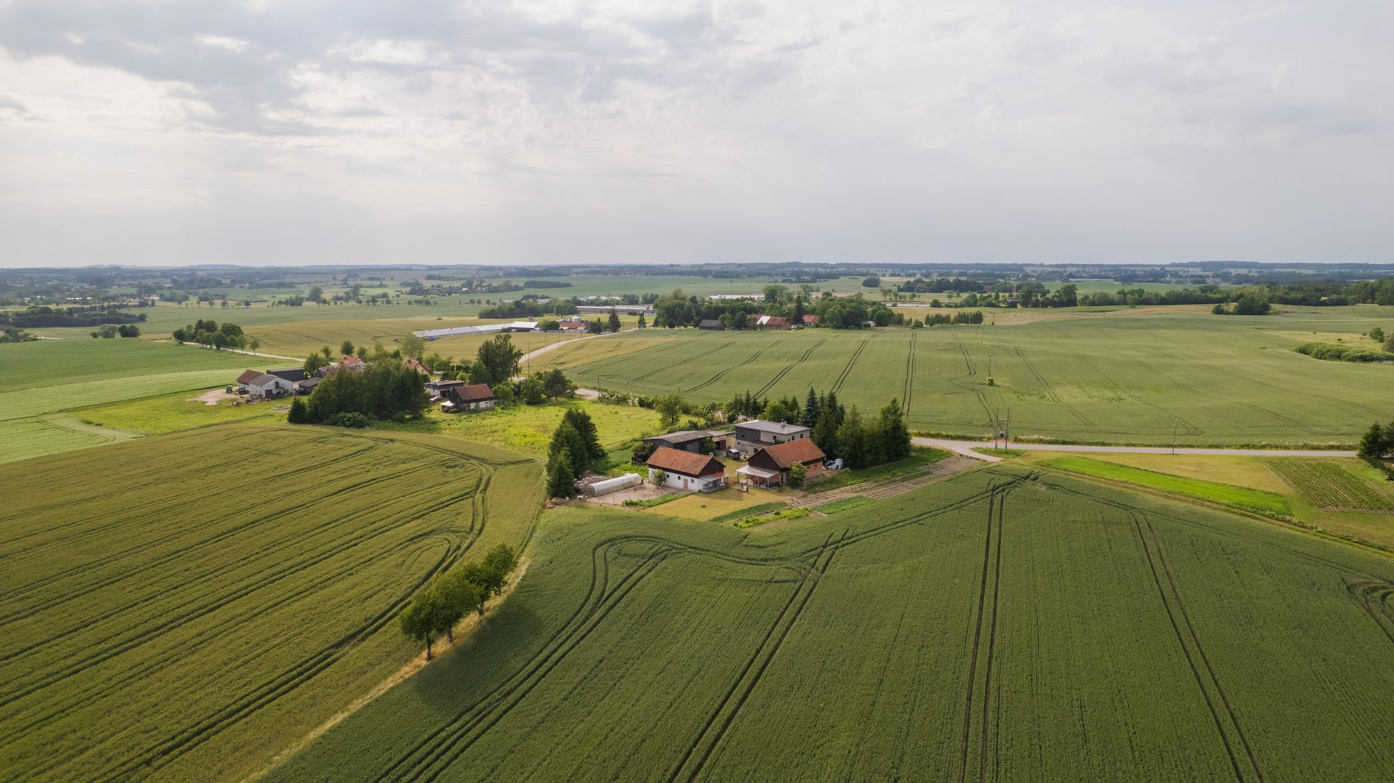 Mazurskie pola
